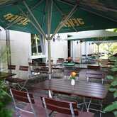 Outdoor café seating with wooden tables and chairs under green umbrellas, surrounded by lush greenery and potted flowers.