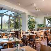 A bright breakfast restaurant with wooden tables, chairs, and large windows offering a scenic view of the greenery outside.