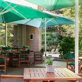 The terrace features wooden tables and chairs under green umbrellas, surrounded by lush greenery and potted plants.
