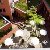 Aerial view of a green-roof terrace with white umbrellas and a tree, surrounded by red-brick buildings.