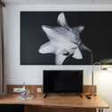 A double room features a desk with a TV, lamp, and water bottle beneath a large black-and-white flower artwork.