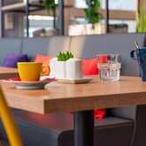 A cozy restaurant table setup features colorful mugs, a glass, and a small plant, creating a welcoming ambiance.