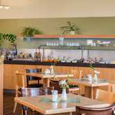 A well-arranged breakfast buffet with fresh fruits, pastries, and plants decorates a cozy dining area.