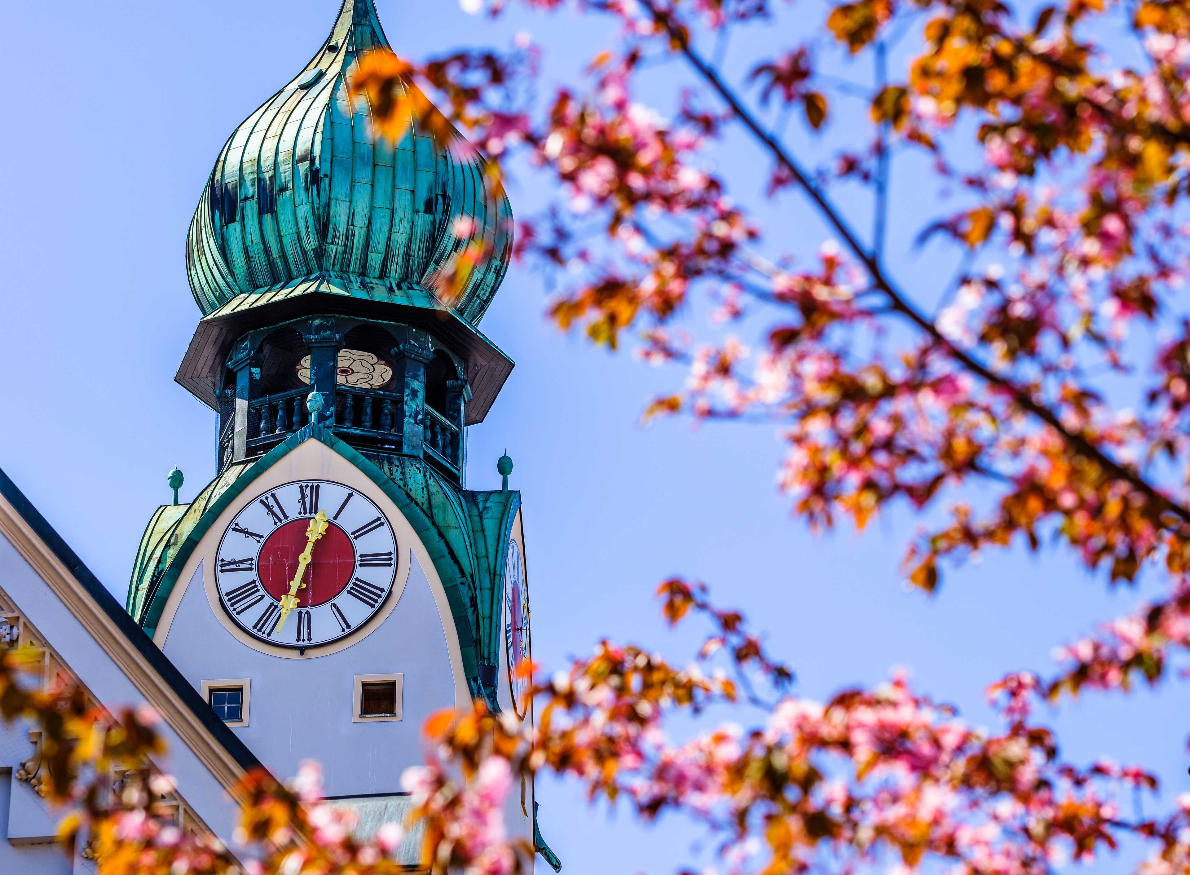 The clock tower with a green dome is framed by vibrant pink cherry blossoms under a clear blue sky.