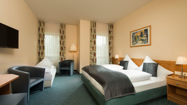 Hotel Schloss Schweinsburg double room
