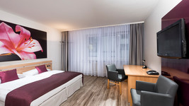 Mark Apart Hotel Standard Double room